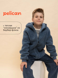 Толстовка для мальчиков Pelican, Синий