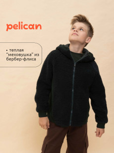 Толстовка для мальчиков Pelican, Зеленый