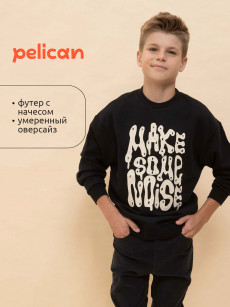 Толстовка для мальчиков Pelican, Черный