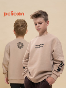 Толстовка для мальчиков Pelican, Бежевый