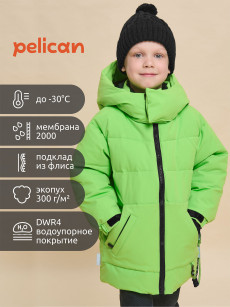 Куртка для мальчика Pelican, пуховик, Зеленый