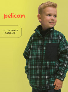 Толстовка для мальчиков Pelican, Зеленый