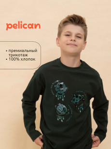 Свитшот, джемпер для мальчиков Pelican, Зеленый