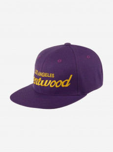 Бейсболка с прямым козырьком HOOD 100-MWL001-CA001-CN Brentwood Laker, CA (фиолетовый), Фиолетовый