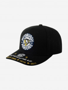 Бейсболка MITCHELL NESS HHSS6565-PPEYYPPPBLCK Pittsburgh Penguins NHL (черный), Черный