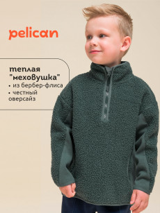 Толстовка для мальчиков Pelican, Зеленый