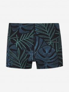 Плавки-шорты мужские Speedo Beachstar, Черный