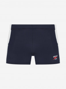 Плавки-шорты мужские Speedo Colorblock, Синий